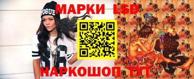 спайс Берёзовский